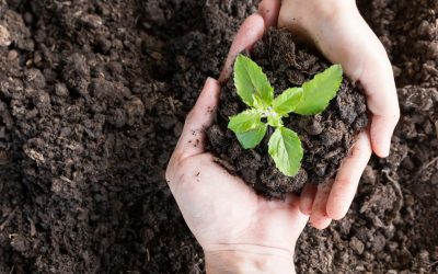 Greenwashing 3.0 : les nouveaux pièges des marques écolos